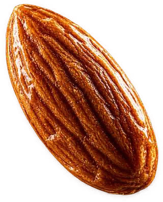 Almonds suspended in golden light