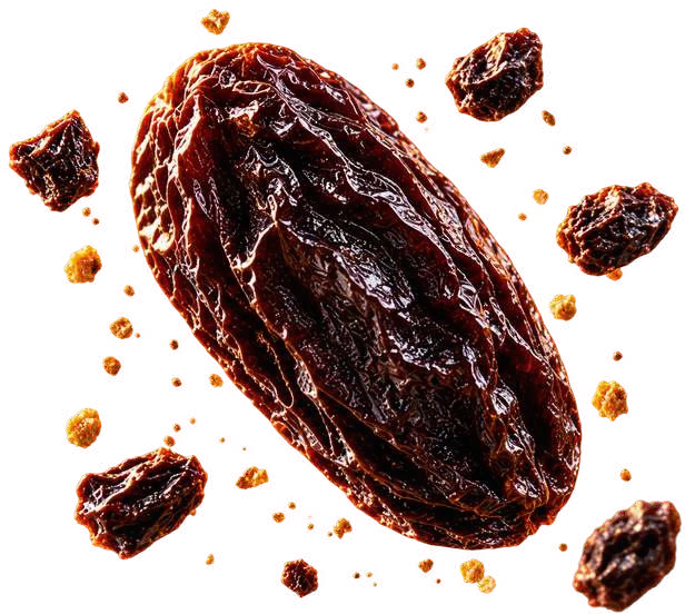Black Raisins suspended in golden light